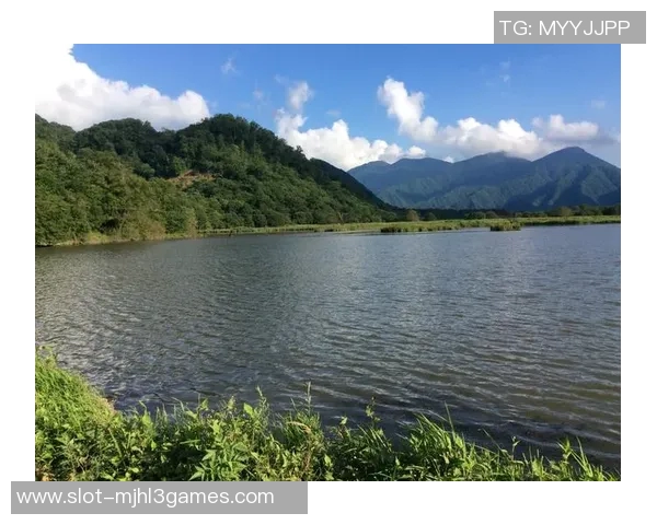 深度探讨刘强在王者荣耀中的游戏人生与成长历程